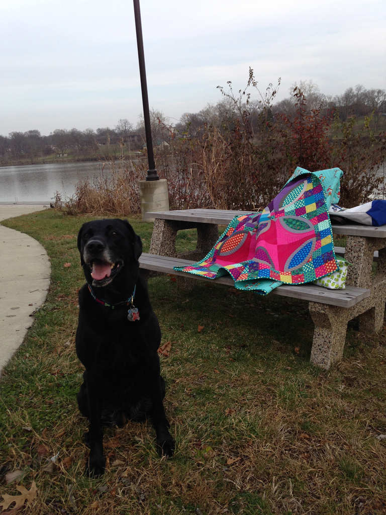 fabricsandflowers.blogspot.com