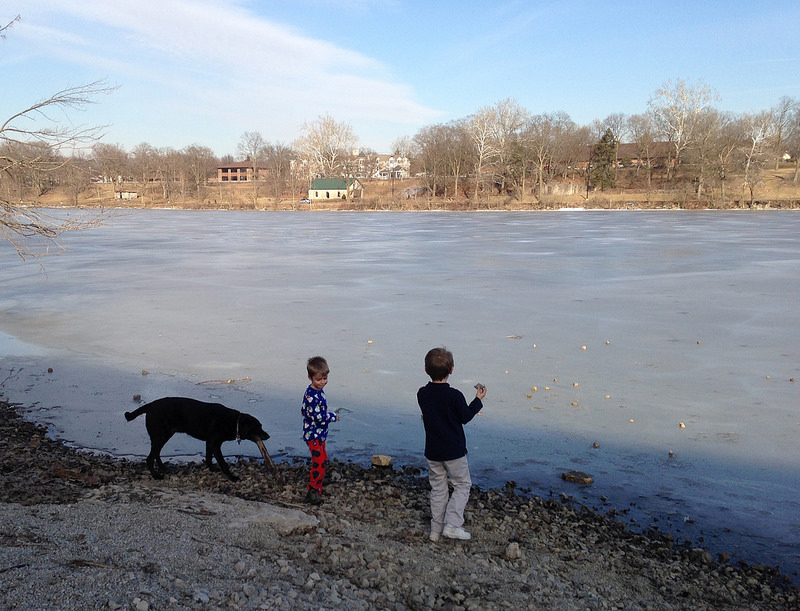 fabricsandflowers.blogspot.com