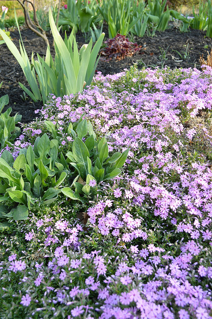 fabricsandflowers.blogspot.com