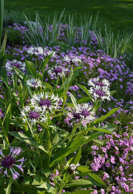 fabricsandflowers.blogspot.com