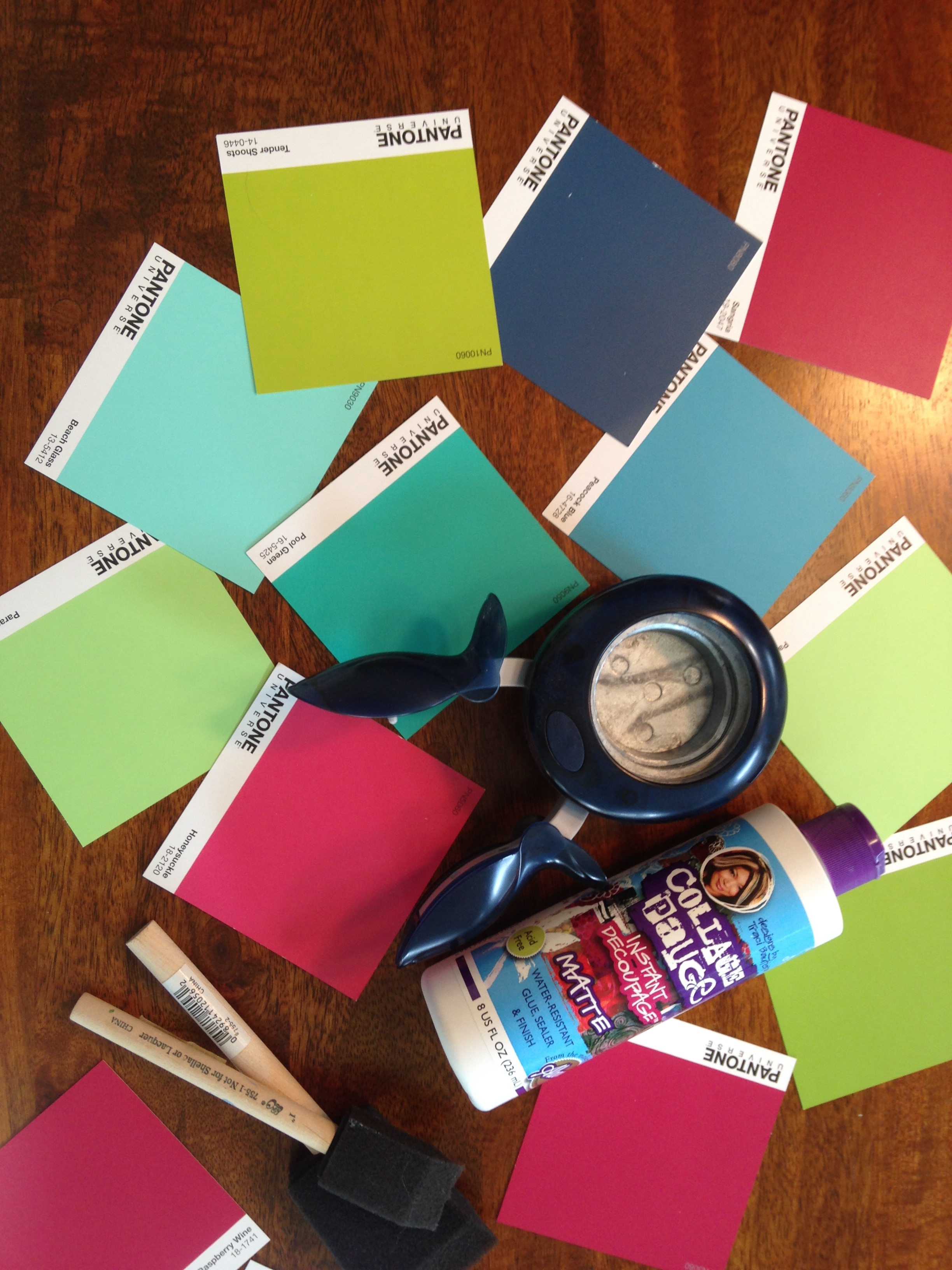 paint chip mod podge craft