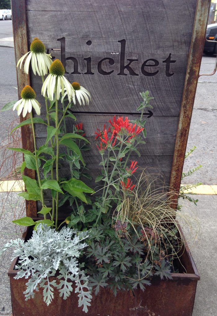 Thicket Garden Store