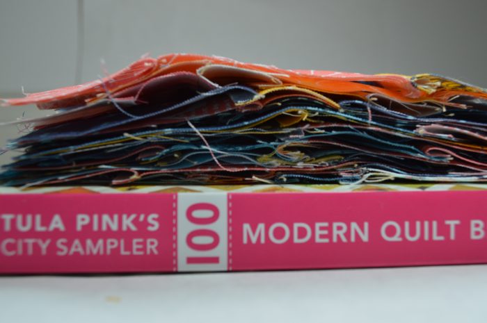 Tula Pink 100 sampler blocks by Sharon McConnell, modern quilting squares