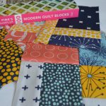 February Book Club: Four Tula Pink 100 Blocks