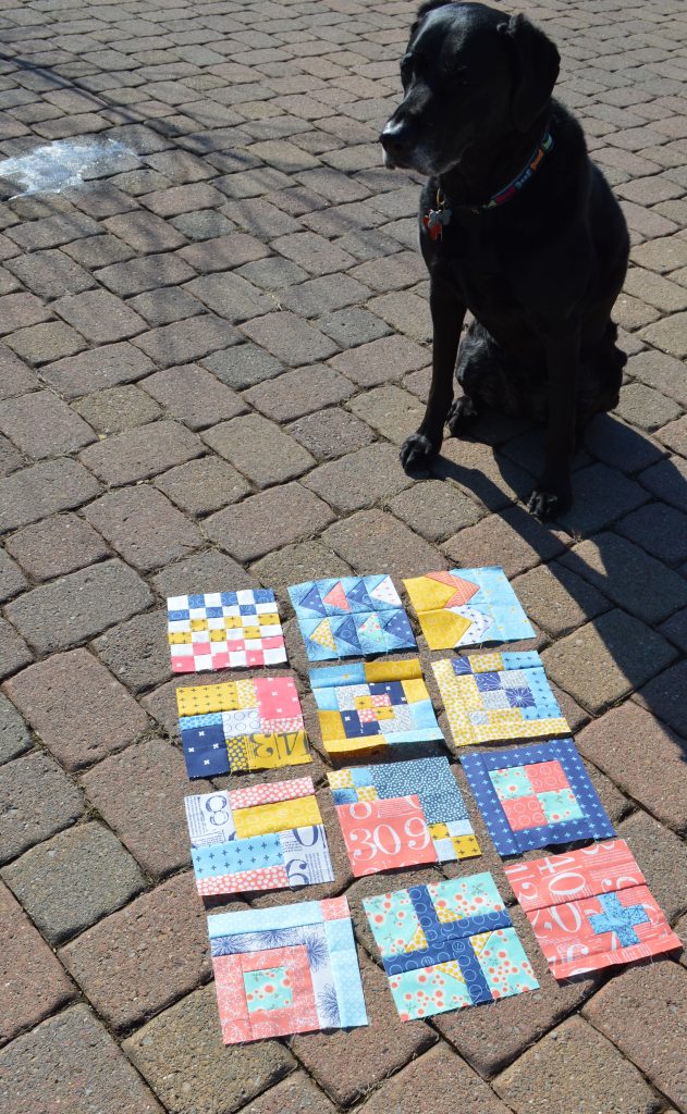 Tula Pink City Sampler quilt blocks with moda fabrics by Zen Chic