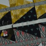 New Fabric  = New Quilt in Progress