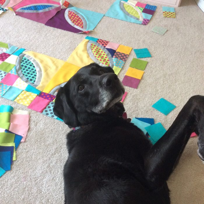 Polka Dot Bikini Quilt by Sharon McConnell
