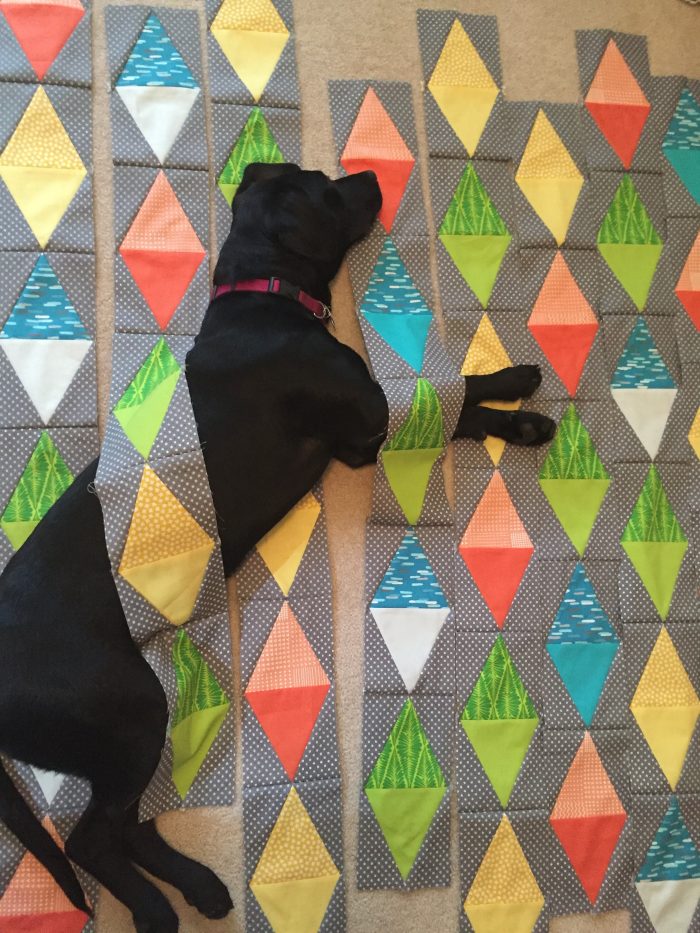 Easy diamond pieced quilt by Sharon McConnell, pets on quilts