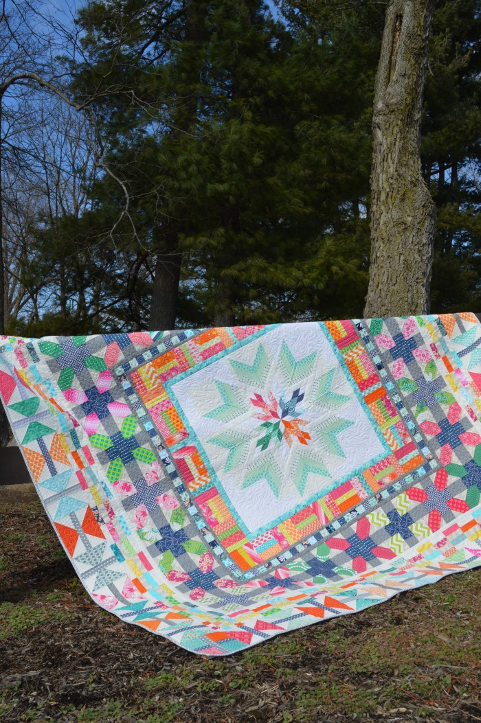 Aviatrix medallion quilt by Sharon McConnell