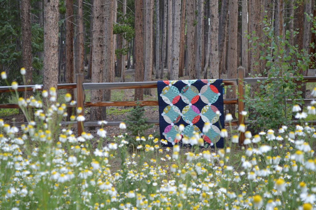 Picnic quilt pattern by Color Girl Quilts Sharon McConnell. Modern curved piecing quilt
