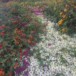 Quilt Retreats are the BEST! Want to Join Me?