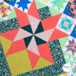 A Quilt, A Sew Along & A Giveaway