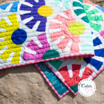 Quilt in Progress…and CLASS coming up